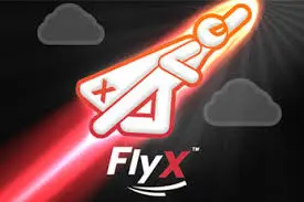 FlyX